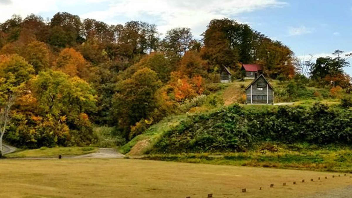 【秋の風景】今年も美味しいお米ができました！たわわに実った黄金の稲穂が、収穫の時を待っています。