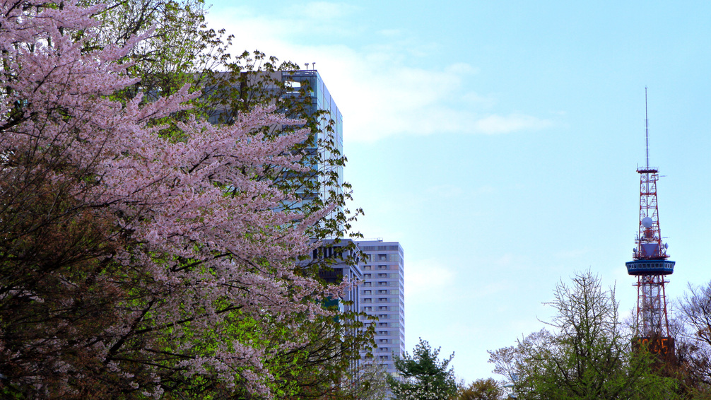 大通公園