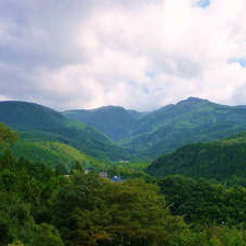 天城山（1406m）を歩く。日本百名山のひとつ。