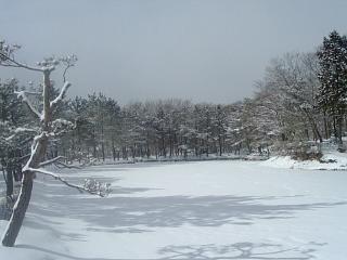 雪の映山湖