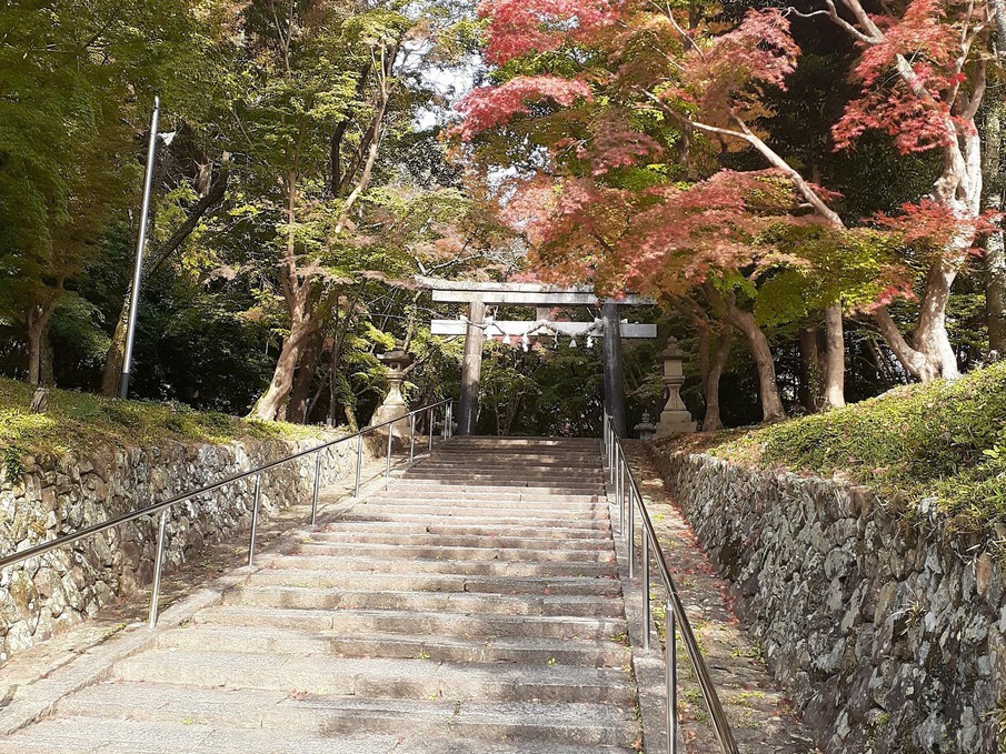 大原野神社3秋