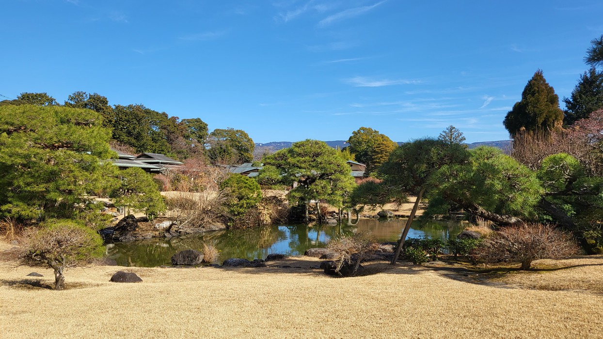 庭園（冬）