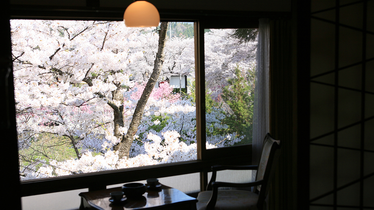 桜が見えるとっておきのお部屋窓から眺める景色に見惚れます。