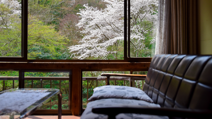 *【おまかせ和室】桜の季節を目当てに来られるお客様も多いです