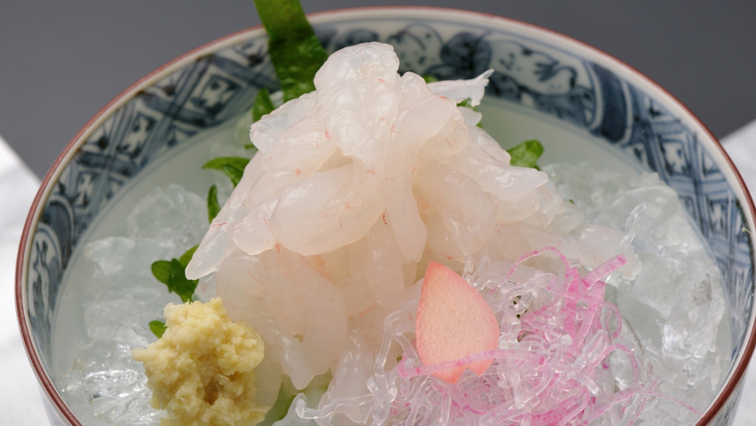 「富山湾の宝石」白エビは甘みが強くとても美味！