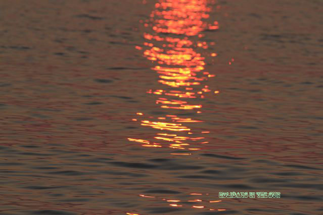 水面に映る夕日の赤
