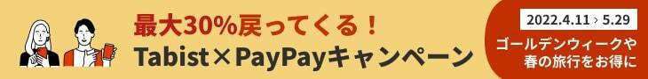 PayPayキャンペーンバナー