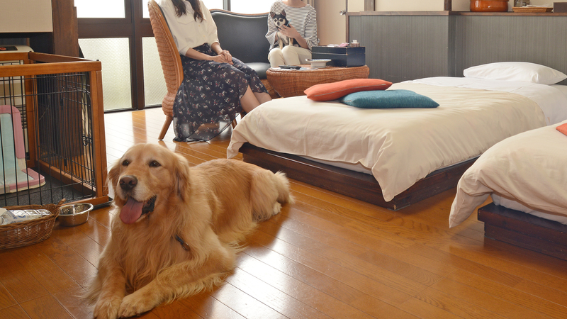 部屋愛犬と宿泊♪洋室イメージ