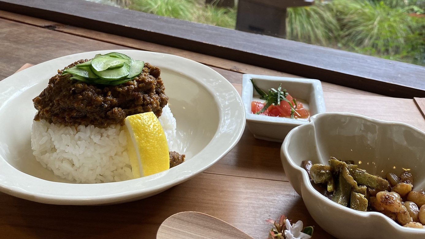 *【群言堂本店】いのししスパイスカレー。島根の山で育った猪肉を贅沢に使ったオリジナルカレーです。