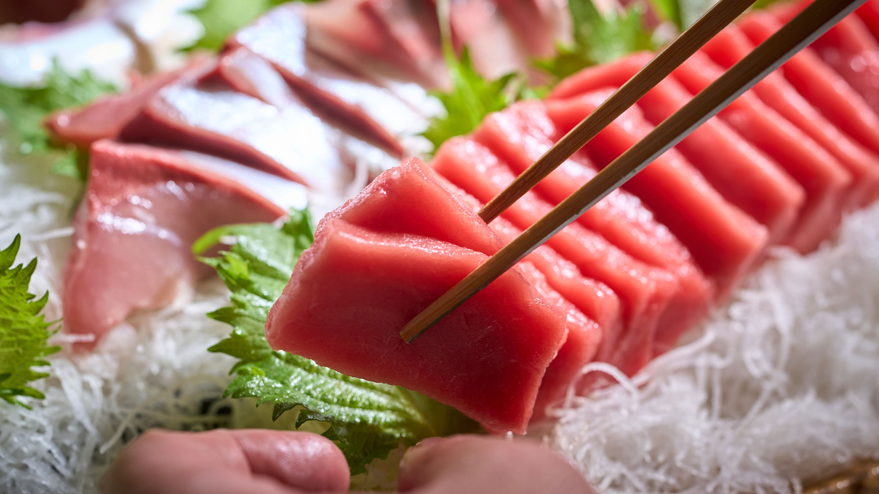 市場直送 お造り※イメージ