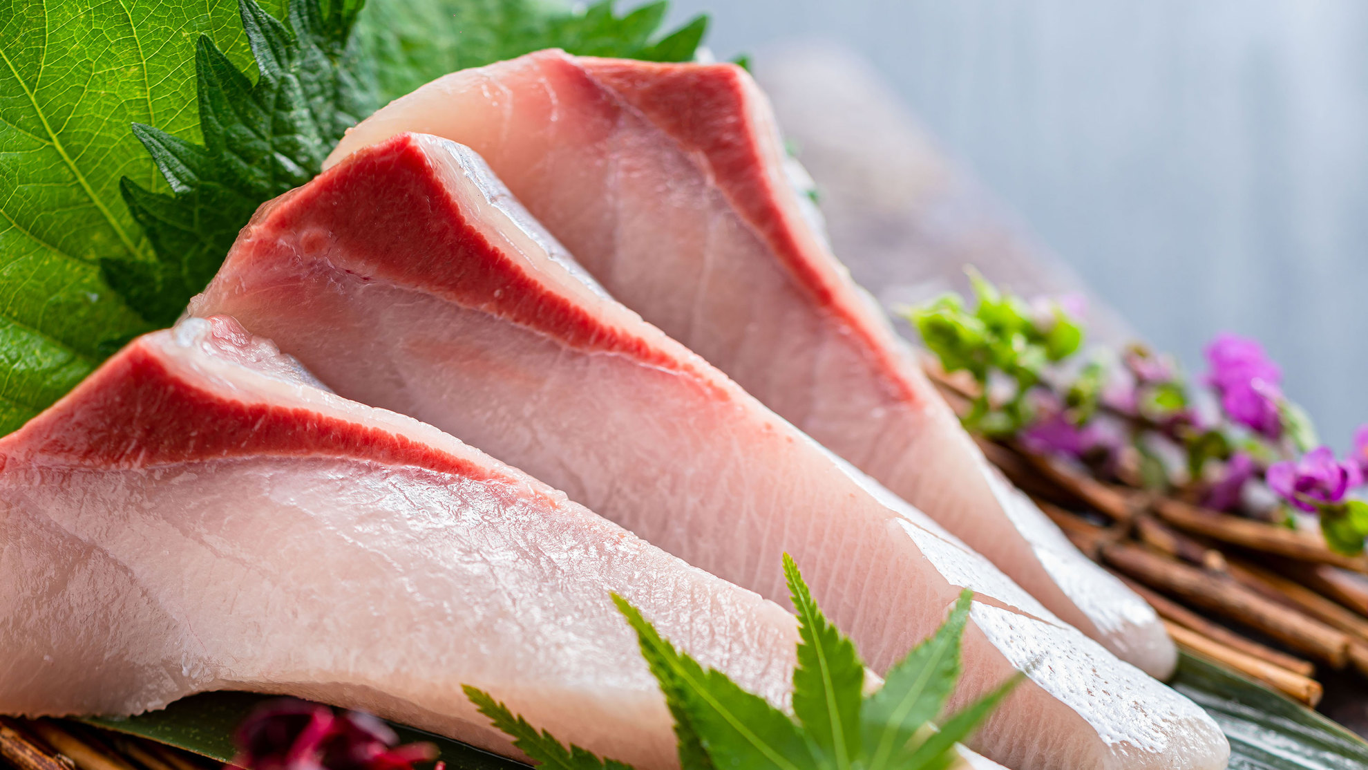 ぶりのお造り（冬のフェアメニュー）※イメージ