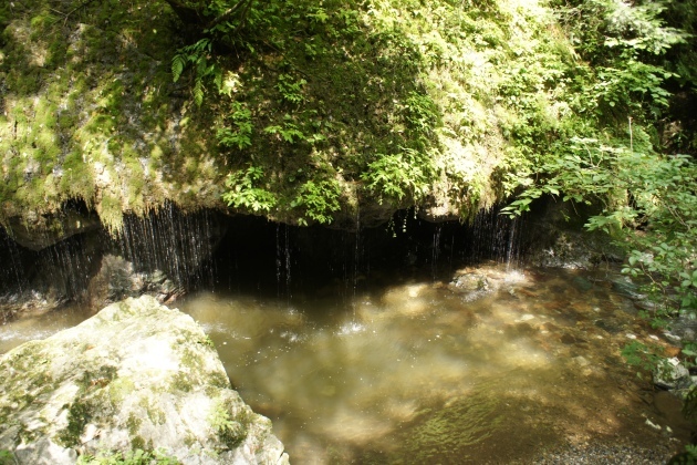 【神庭の滝】玉垂れの滝です。草葺き 屋根から落ちる雨垂れに似た奇観がとても美しい滝です。
