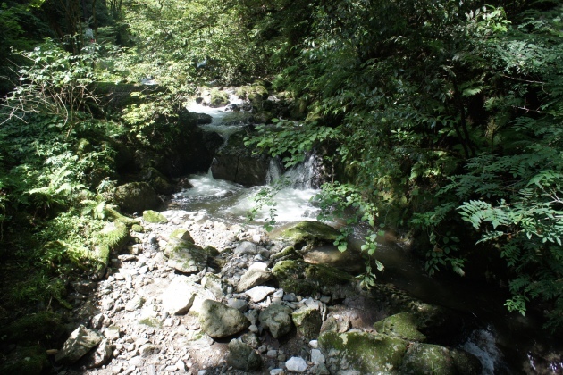 【神庭の滝】滝へ行く途中の風景です。涼しくて気持ちいい！