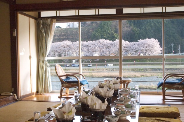 部屋から見える桜を楽しみながら自慢の料理を味わって下さい。