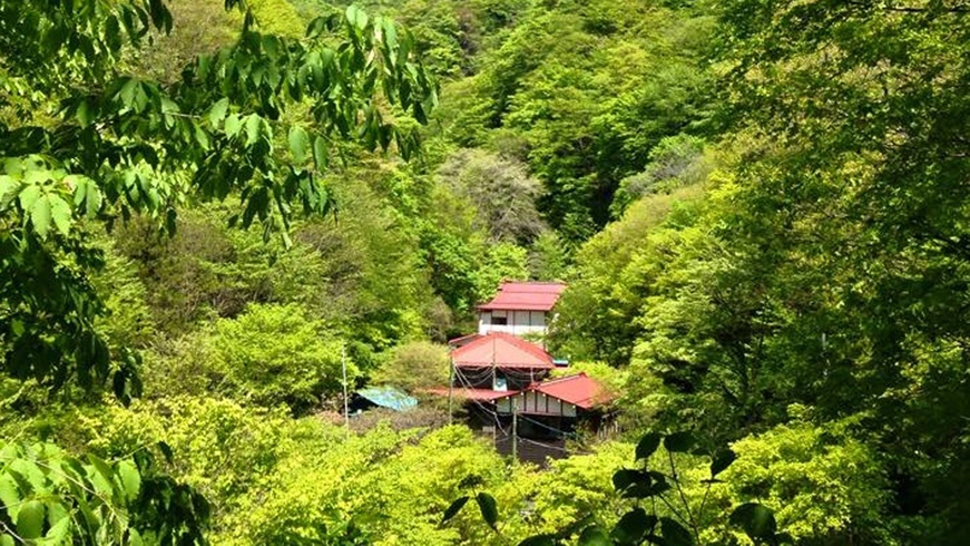 *風がそよぎ、木々が揺れ、川のせせらぎが流れる…;。自然と共に過ごせる宿が、金湯館です。