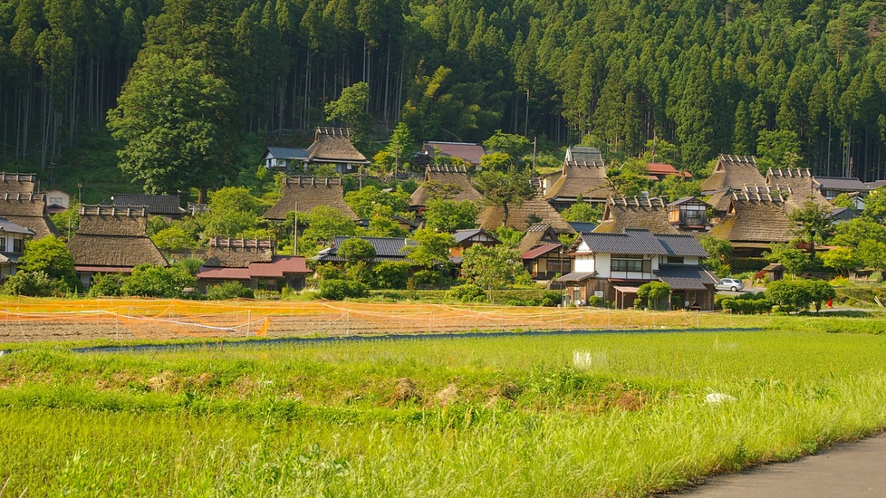 *かやぶきの里