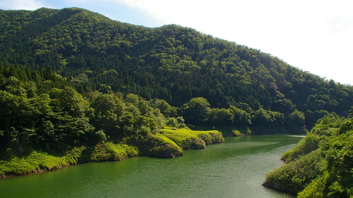 *清流由良川