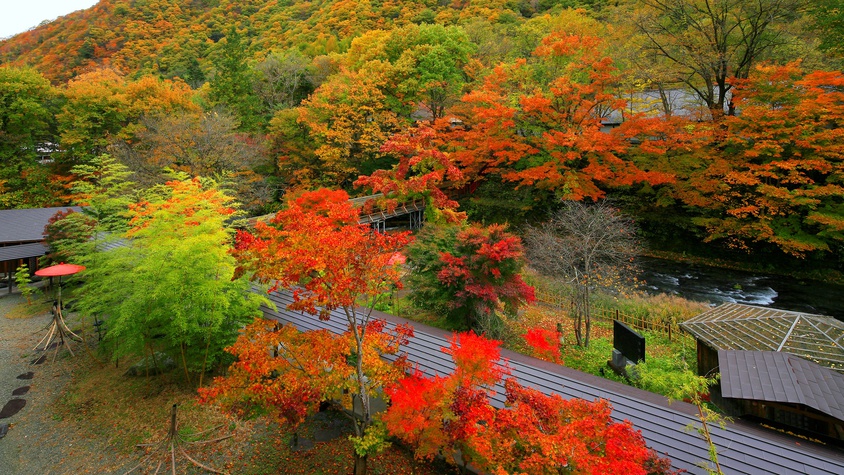 【2018年】紅葉が美しい“;日本庭園”;33選！美しすぎる〜大正初期の原型を留める貴重な眺望です。。。