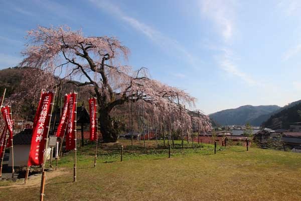 【春】泰雲寺