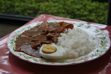 純子の朝カレー