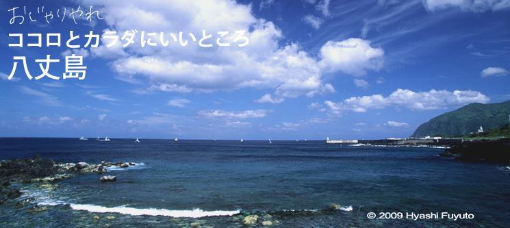 釣宿やなせ 八丈島 Top 楽天トラベル