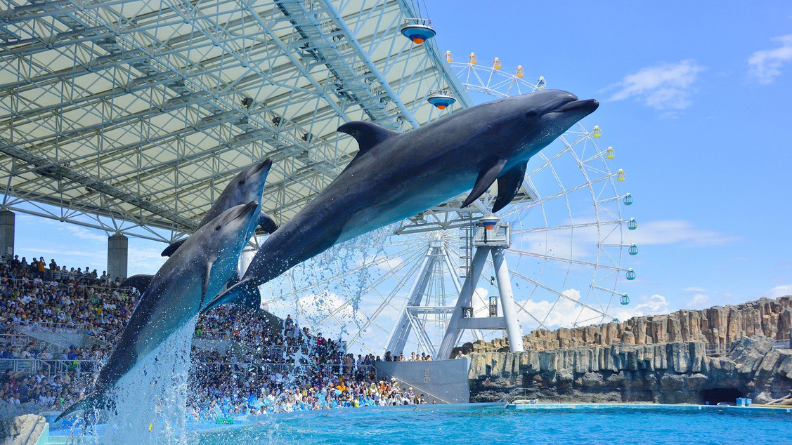 水族館2