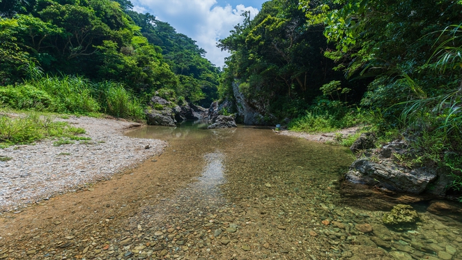 ［伊江川］国頭村は沖縄の原始の自然がいっぱい！周辺には美しい色の伊江川が流れています。