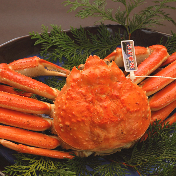 芦屋荘では使用するカニは、浜坂港に水揚げされる地物のカニだけ。