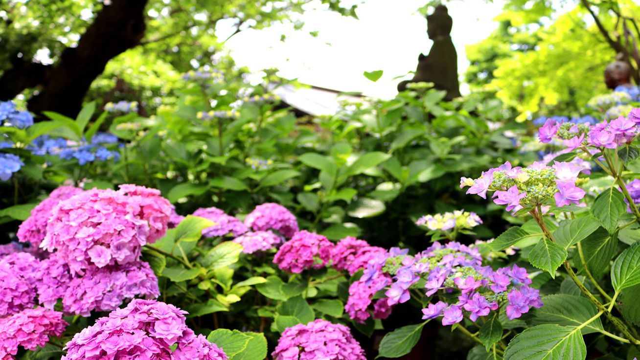 Kaihinso Kamakura Ambiance