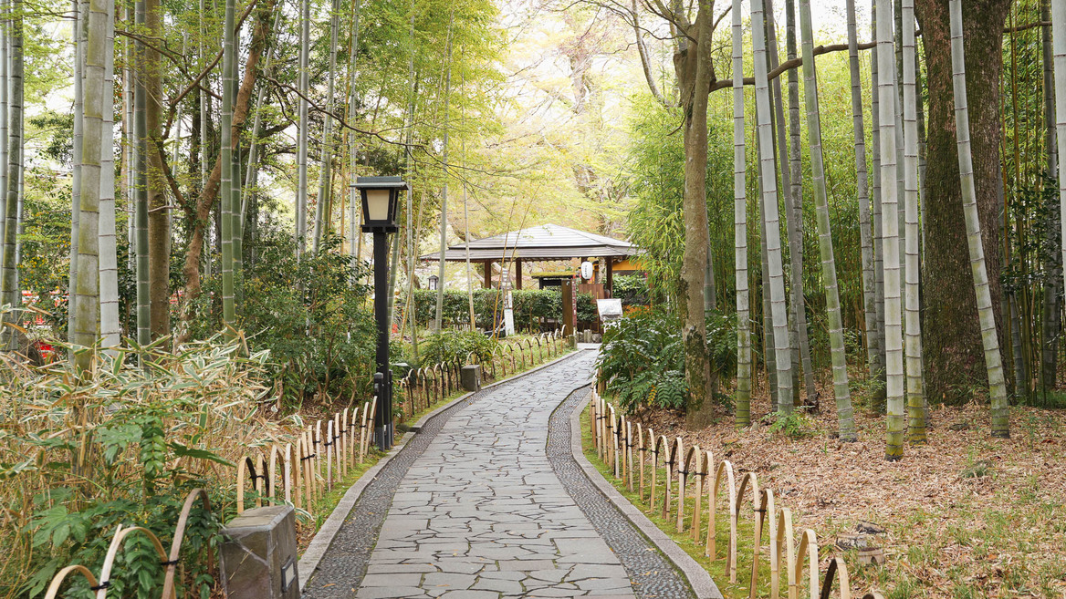 【周辺観光】竹林の小径