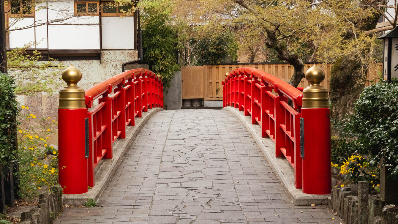 【周辺観光】桂川の自然