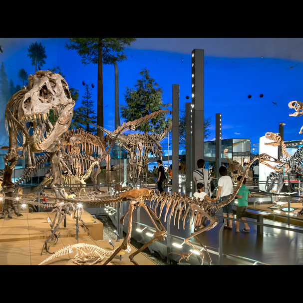 Oogiya Main Image Oogiya, Ono