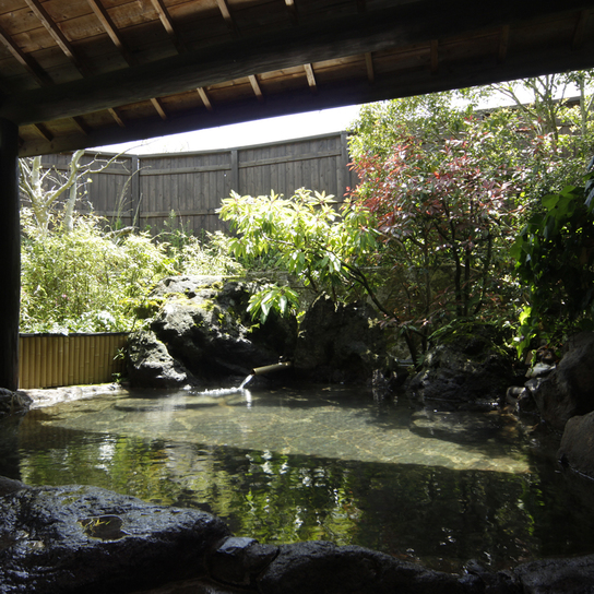 Sujiyu Onsen Ryokan Furusato Main Image Sujiyu Onsen Ryokan Furusato, Kokonoe