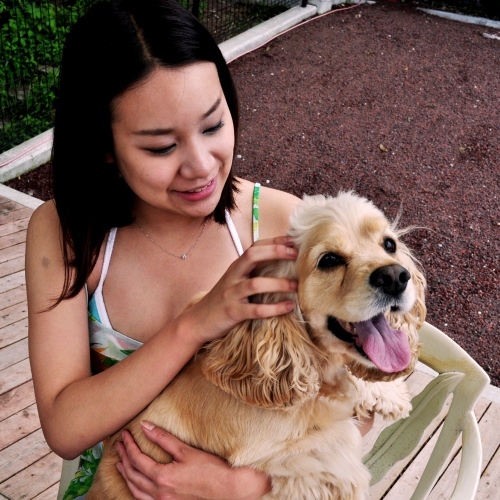 This photo about Dog Resort ONE MORE shared on HyHotel.com