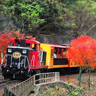 トロッコ電車