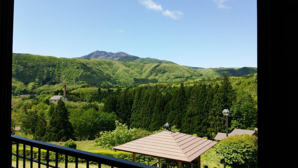 新緑の時期客室からの眺め２