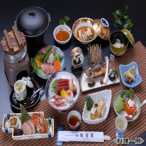 Shiobara Onsen Yuyado Umekawaso Image 5, Nasushiobara, Japan