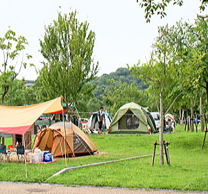 オートキャンプ場