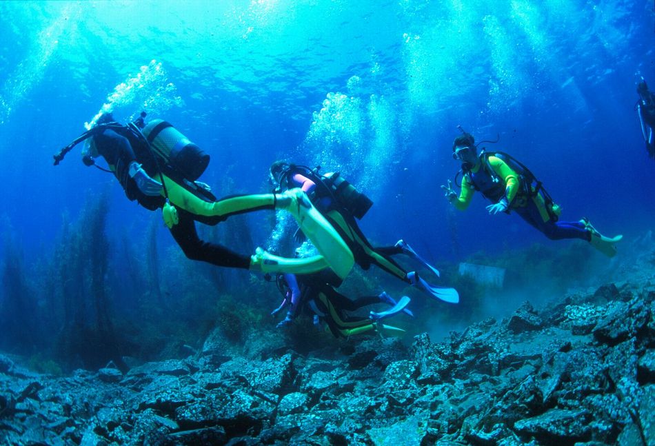 ダイビング4