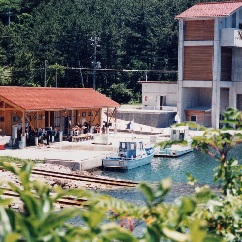 隠岐の国ダイビング