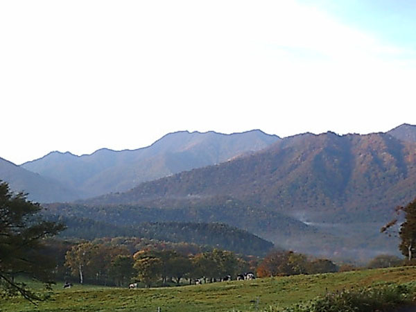 大自然の笹ヶ峰。車で４０分。