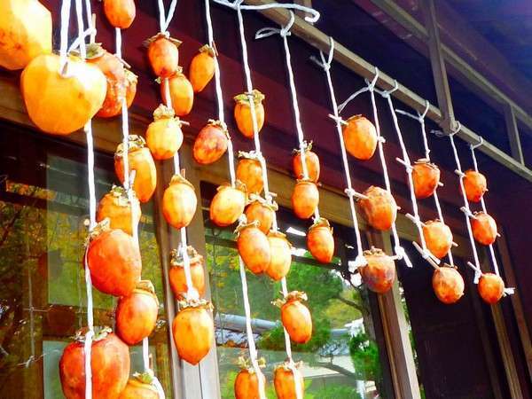【秋】軒先で干し柿！これが年末にあま〜くなりますよ♪