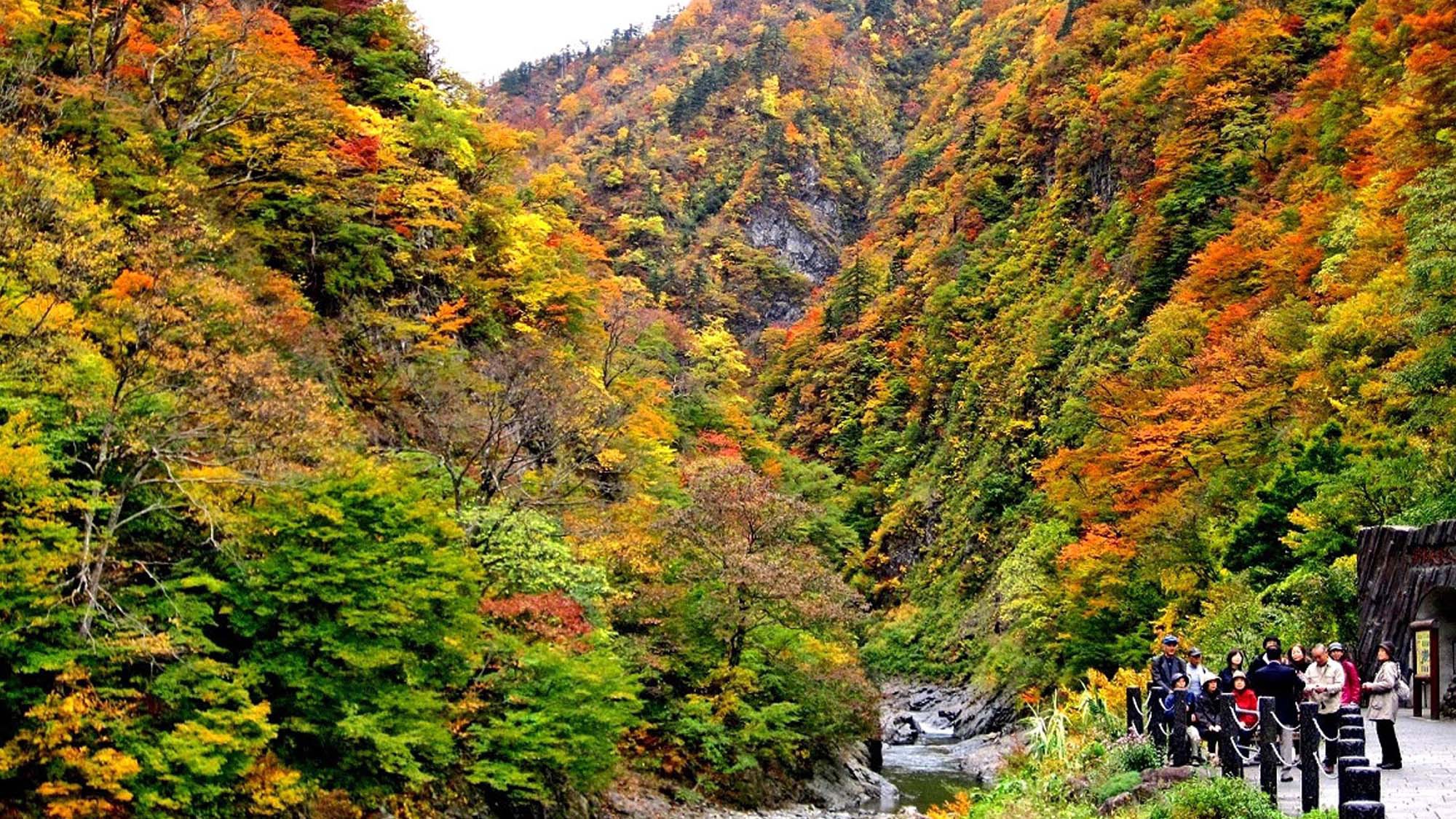 【清津峡・秋】壮大な三大渓谷清津峡、トンネル入口からの紅葉の景色は圧巻！
