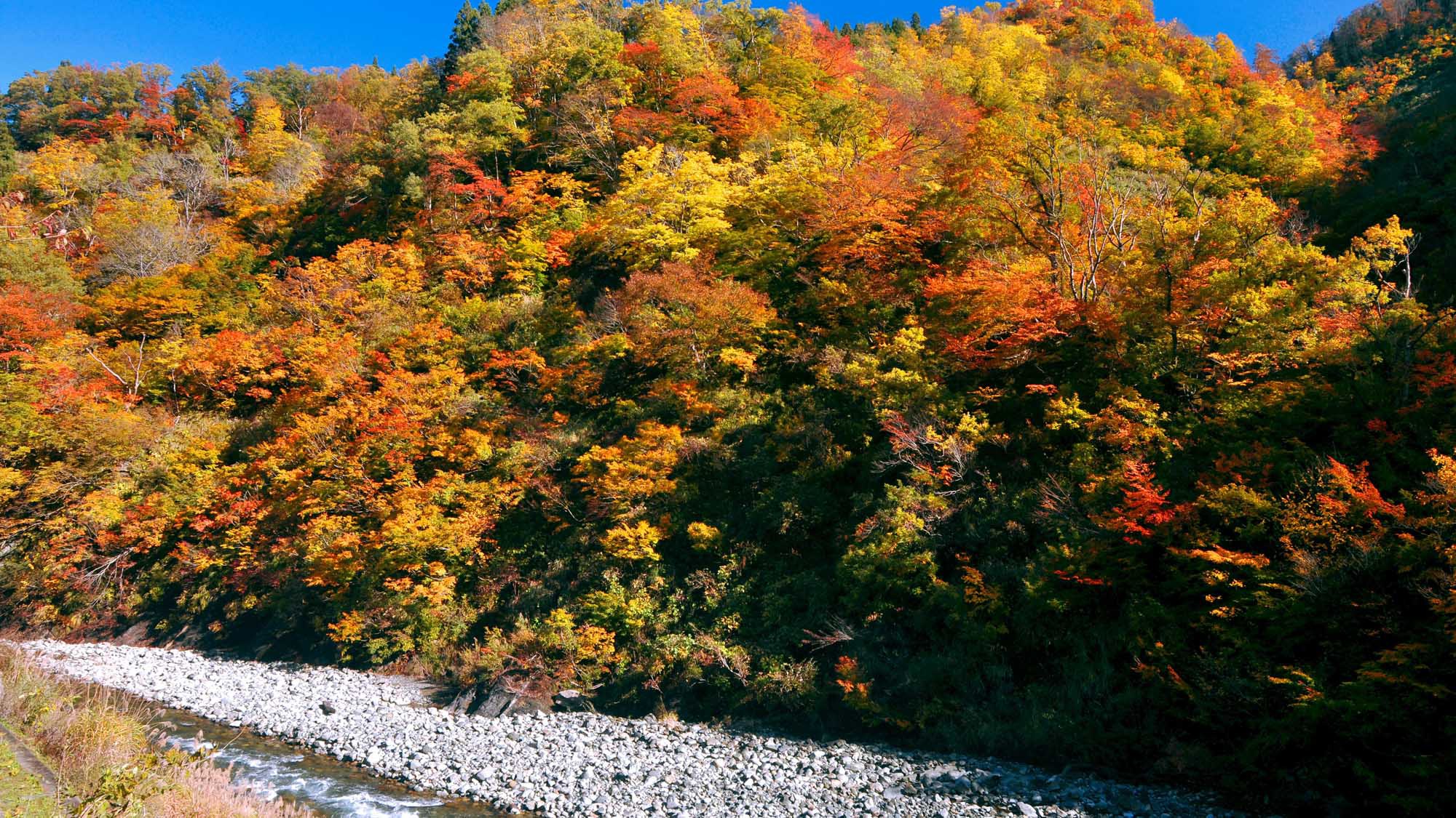 【清津峡・秋】四季で変わる渓谷の美しさをお楽しみください