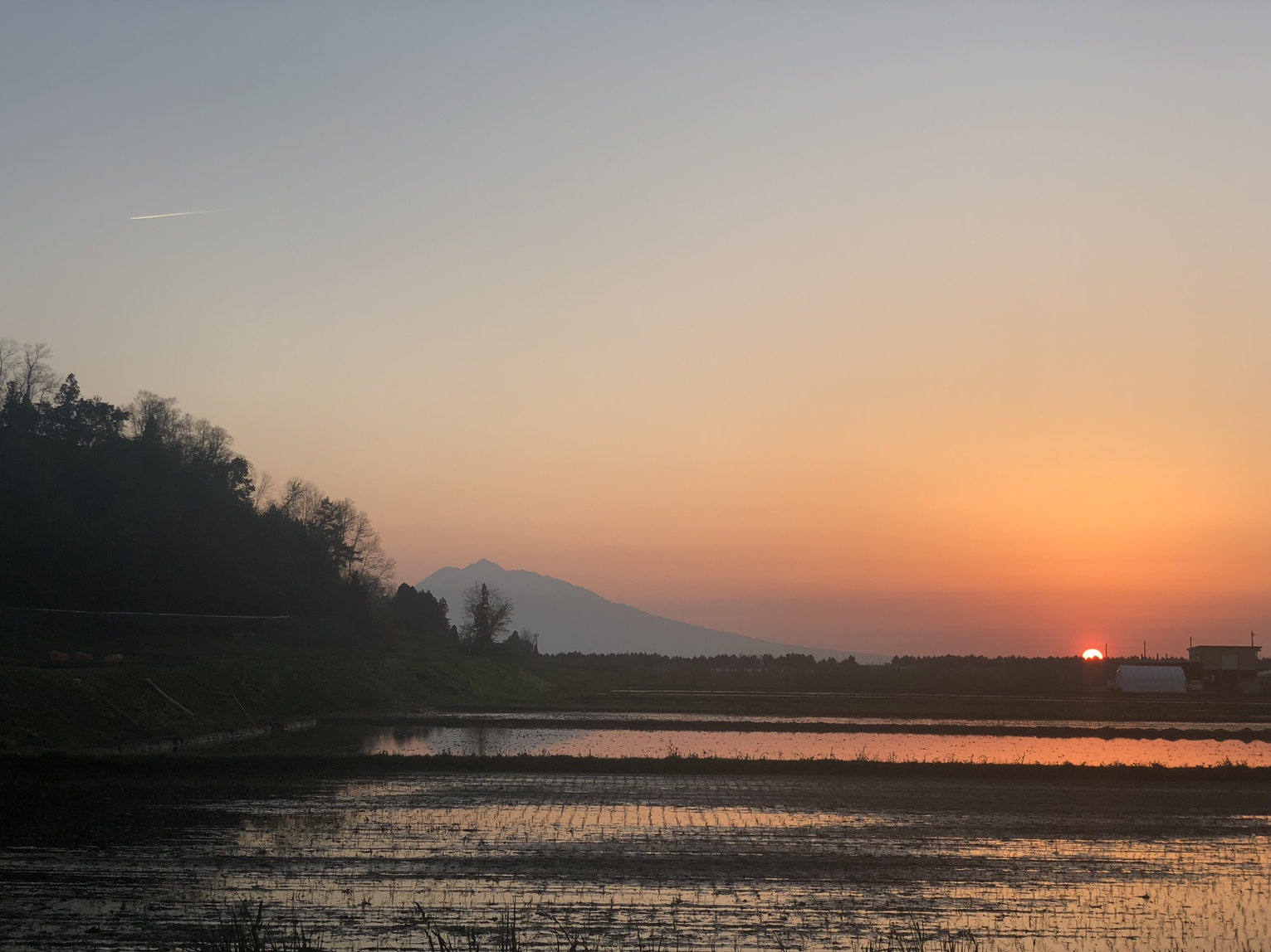 近辺の田んぼからの夕陽と岩木山