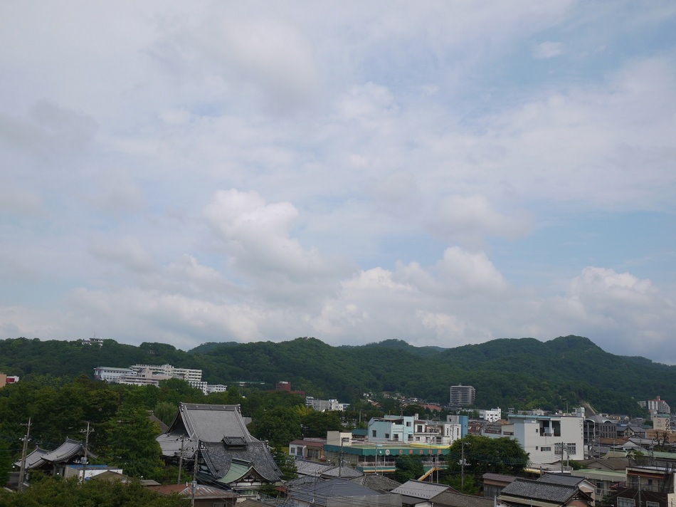 ホテルから足利の山が見えます