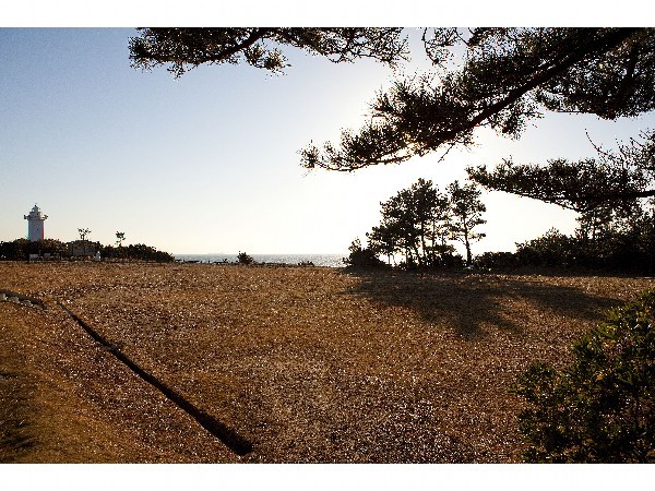 宿から徒歩3分灯台公園