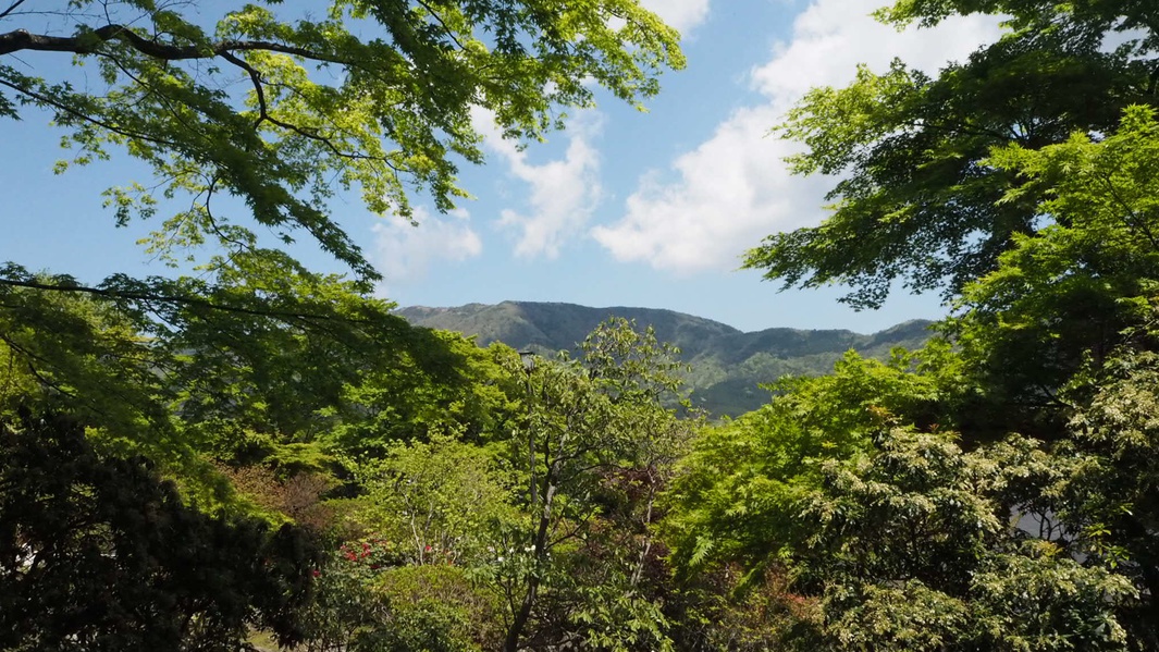 *【周辺観光】当館より車で15分ほど。緑豊かな景観が美しい強羅公園。