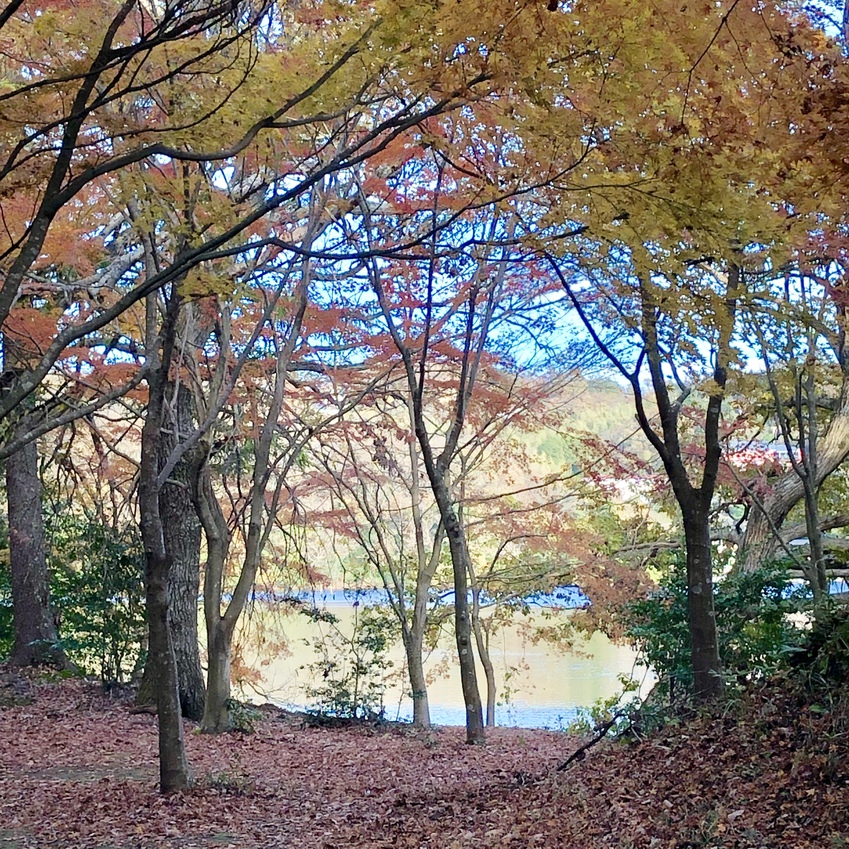 一碧湖の秋、紅葉