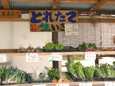 野菜の販売所
